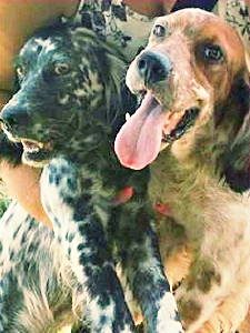 LILLY E RUDY