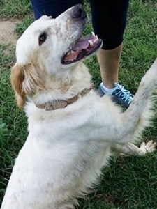 JACK