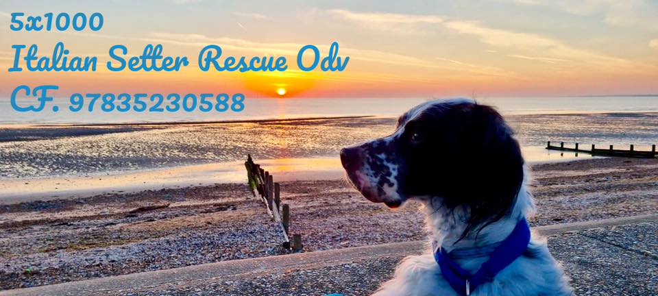 446889373_10161495127719295_8647660692771920987_n